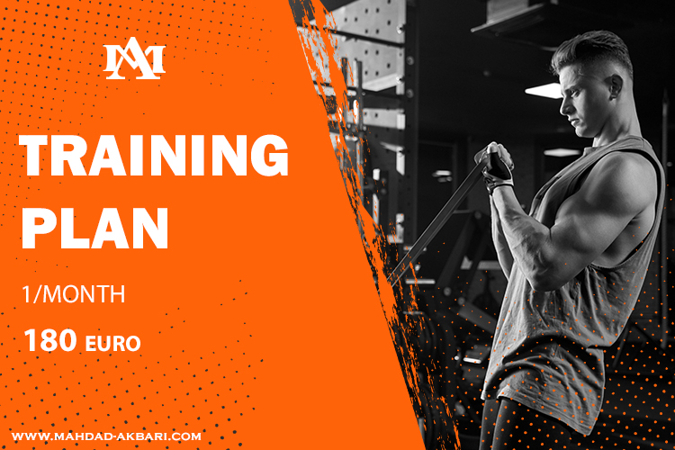 Fitness Training Plan Fitness Training Plan